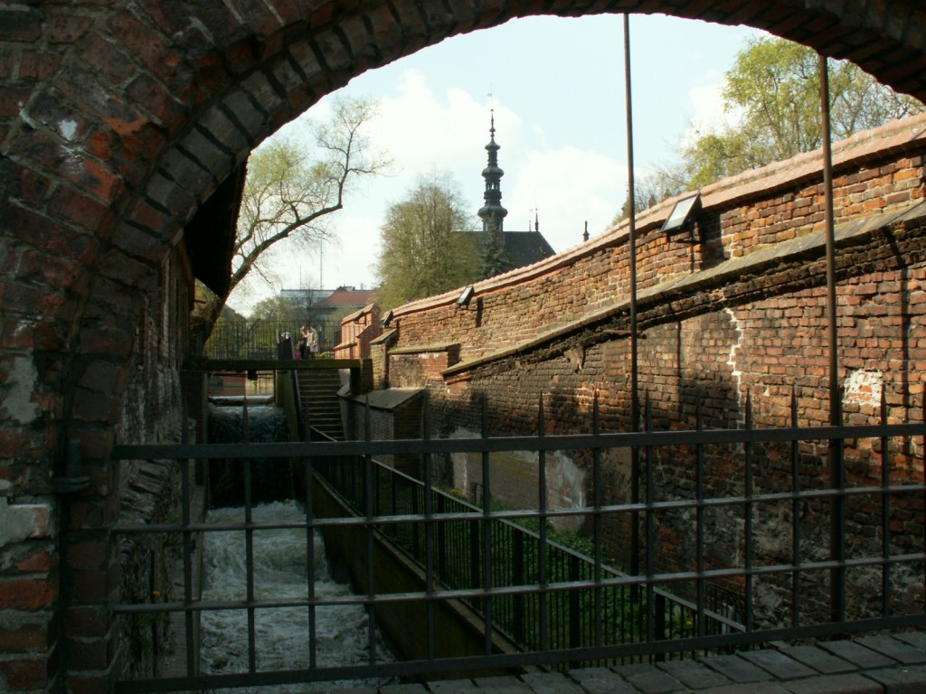 Fot. Katarzyna Czaykowska