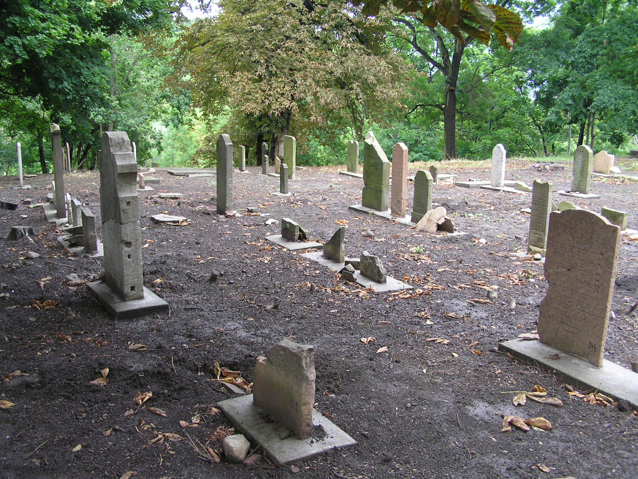Cmentarz Żydowski w Gdańsku 2010 r.