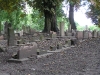 Cmentarz Żydowski w Gdańsku 2010 r.