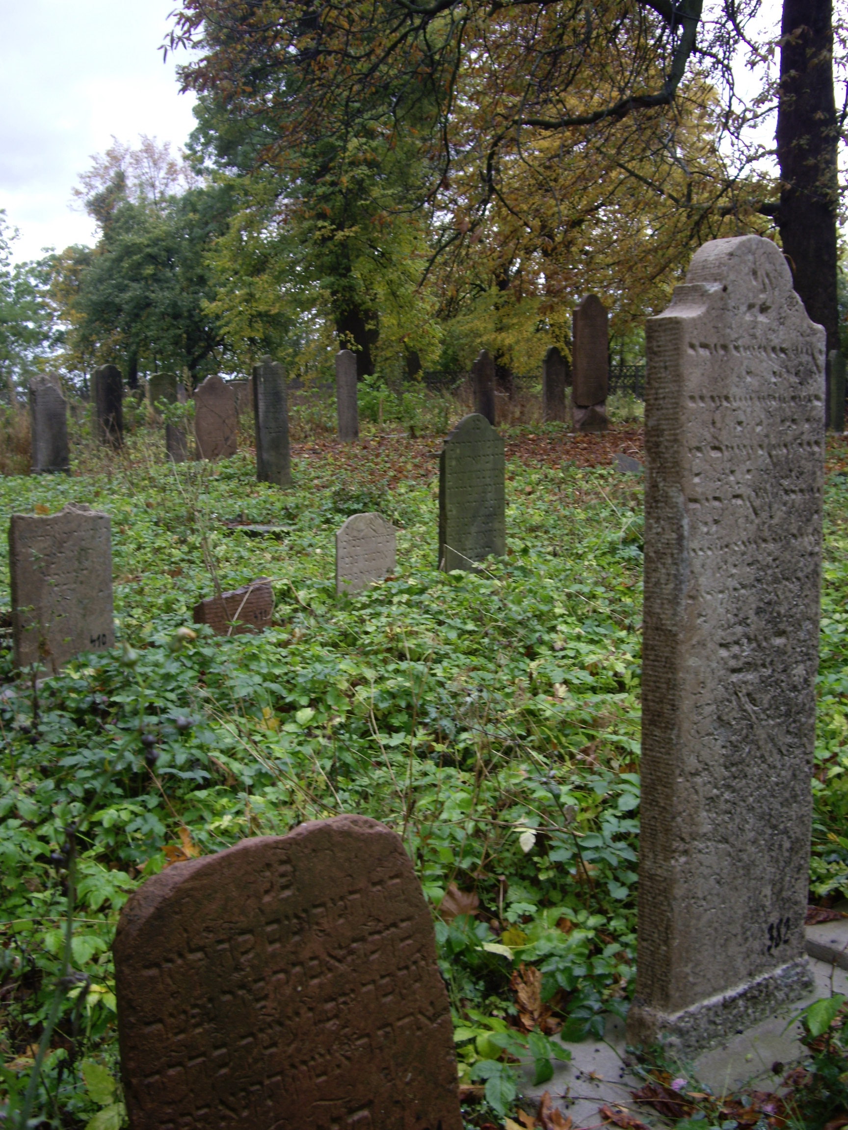 Cmentarz Żydowski w Gdańsku 2009 r.