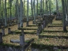 Cmentarz żydowski w Sopocie