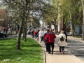 iBedekerowy spacer śladami książek