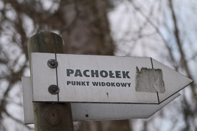 Wzgórze Pachołek - grudzień 2014 r.