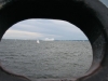 Operacja Żagle Gdynia 2014 - parada