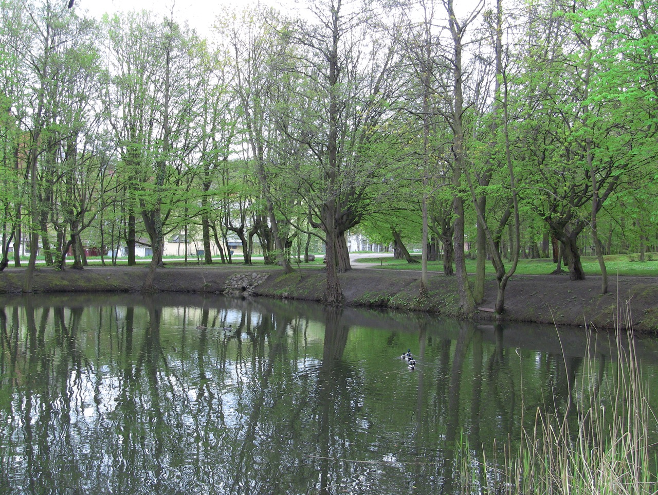 Park w Królewskiej Dolinie w Gdańsku