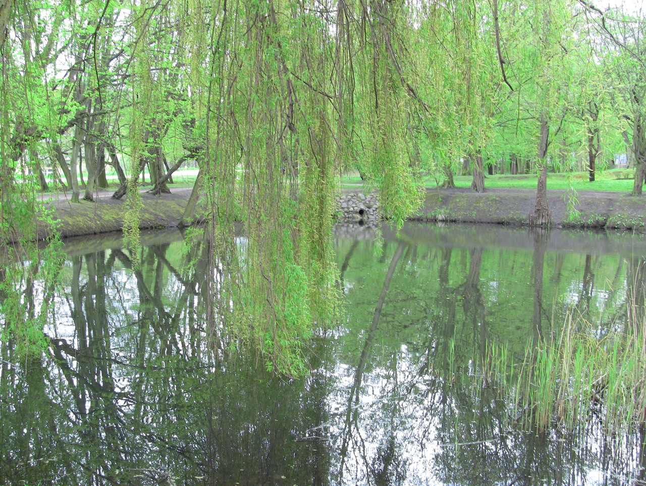 Park w Królewskiej Dolinie w Gdańsku