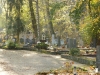 Cmentarz Srebrzysko